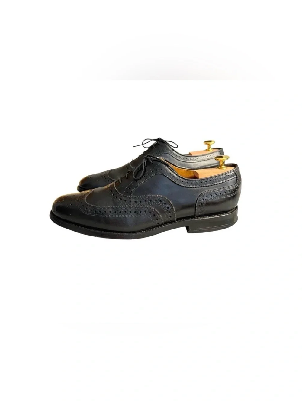 Allen Edmonds classic wingtip